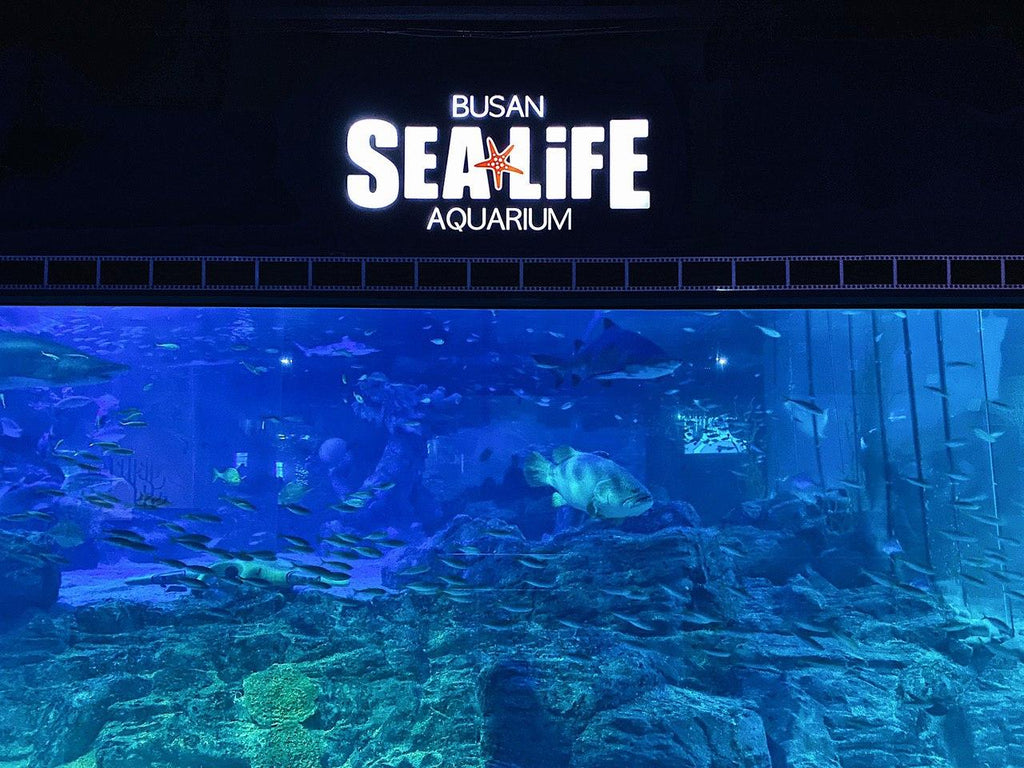 Busan SEA Life Aquarium