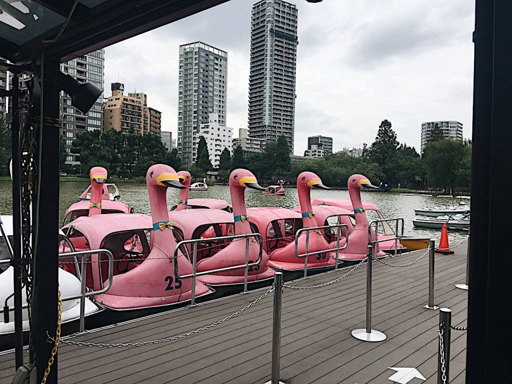 Swan Boat Ride Ueno Park